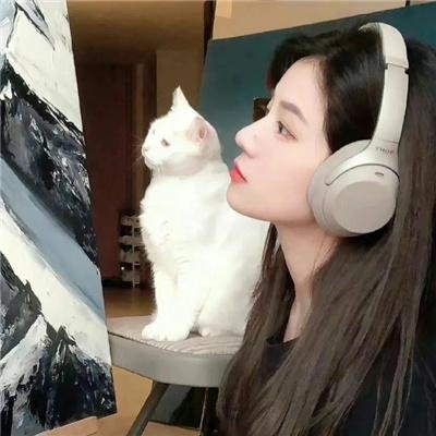 拳脚之路